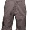 Regatta Heroic Cargo Short TRJ388